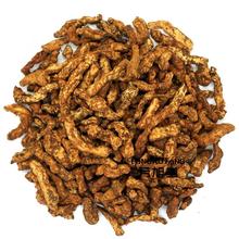 【炒僵蚕】最新最全炒僵蚕 产品参考信息