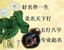 【起名字书】最新最全起名字书 产品参考信息