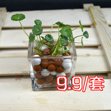 【陶粒水培】最新最全陶粒水培 产品参考信息