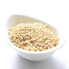 【小麦仁】最新最全小麦仁 产品参考信息_一淘搜索