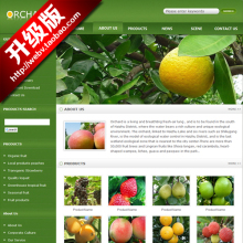 【外贸网站模板php】最新最全外贸网站模板p