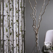 【白桦树墙纸】最新最全白桦树墙纸 产品参考