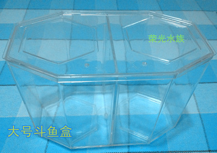 大号 双格 斗鱼盒 亚克力 斗鱼缸 小鱼缸 泰国斗