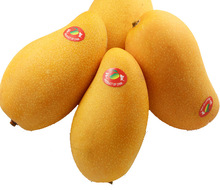 【海南水仙芒果】最新最全海南水仙芒果 产品参考信息_一淘搜索