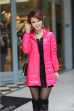 【premium down】最新最全premium down 产品