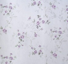 【紫色花藤蔓】最新最全紫色花藤蔓 产品参考