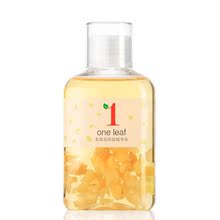 【one leaf一叶子】最新最全one leaf一叶子 产