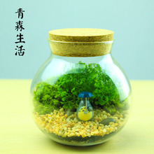 【50元以内生日礼物】最新最全50元以内生日