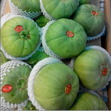 【绿宝香瓜】_粮油价格_最新最全粮油返利优