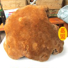 【桑树桑黄灵芝】最新最全桑树桑黄灵芝 产品