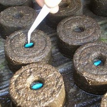 【育苗块捷菲jiffy】最新最全育苗块捷菲jiffy 产品参考信息_一淘搜索