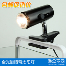 【乌龟晒背灯】_宠物价格_最新最全宠物返利