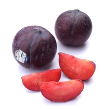 【恐龙蛋水果】最新最全恐龙蛋水果 产品参考