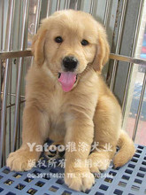 【毛骗第二部】最新最全毛骗第二部 产品参考