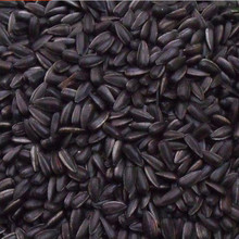 【黑珍珠小瓜子】_零食价格_最新最全零食返利优惠_一淘网