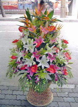 【产品发布会 欢迎词】最新最全产品发布会 欢