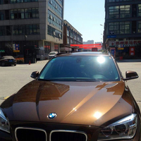 不透明不透光建筑膜-不透光膜建筑膜616酒红宝