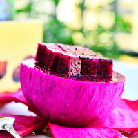 八卦炽火龙鎏金玫瑰特-果南方北方可种植包邮