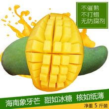 【象牙芒】最新最全象牙芒搭配优惠