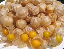 【姑娘儿果】最新最全姑娘儿果返利优惠_一淘网