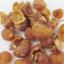 【无患子洗】最新最全无患子洗返利优惠