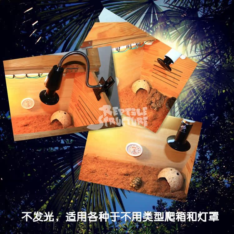 【爬虫加热灯UVA晒背灯宠物陶瓷加热灯papa