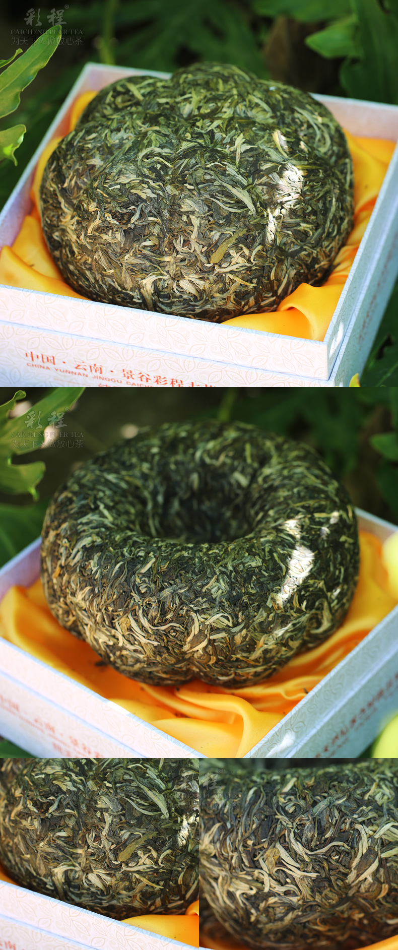 千年古树极品银芽2千克金瓜贡茶 - 阎红卫 - 阎红卫经赢之道策划产业联盟 千年古树极品银芽2千克金瓜贡茶 - 阎红卫 - 阎红卫经赢之道策划产业联盟