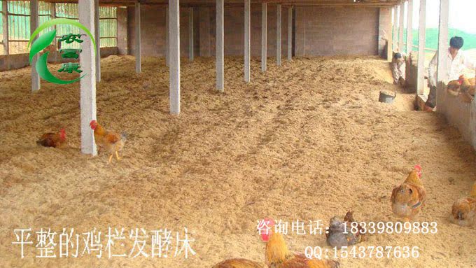 发酵床菌种如何购买