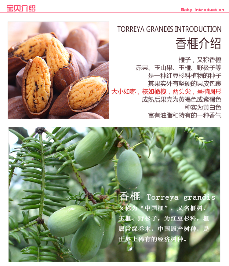 诸暨.正宗枫桥香榧
