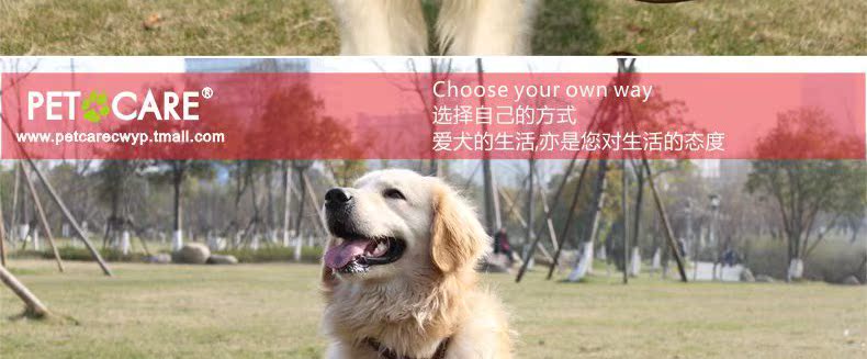 Ошейник для животных петкер Pet воротник собака воротник домашнее животное р цепь собака цепь высокого качества латунь оснастки крышек нагруженный термин Ошейник для животных петкер Pet воротник собака воротник домашнее животное р цепь собака цепь высокого качества латунь оснастки крышек нагруженный термин