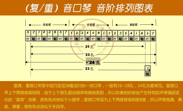 天鹅swan 正品 口琴 24孔 复音口琴 c调 初学必备 仅售19.8元包邮