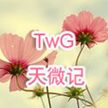 【免費商業App】TwG天微记-APP點子