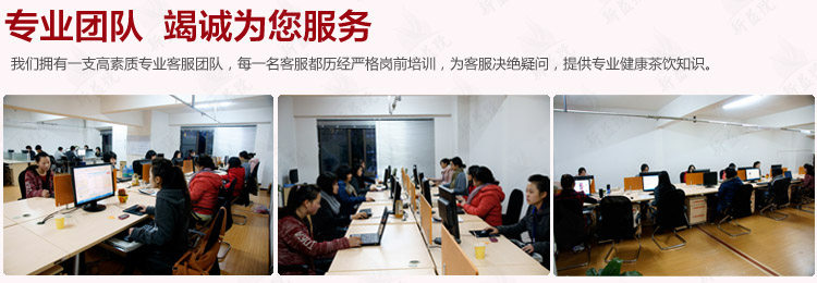 公司实力