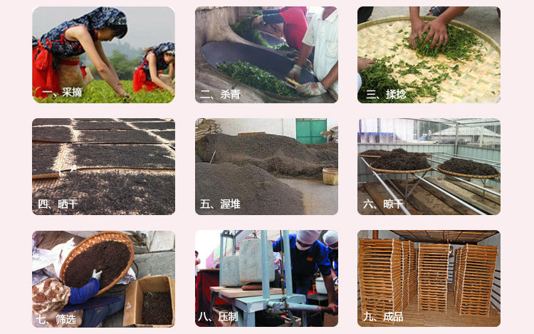 普洱茶工艺流程