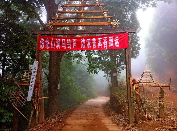原料产地茶山展示
