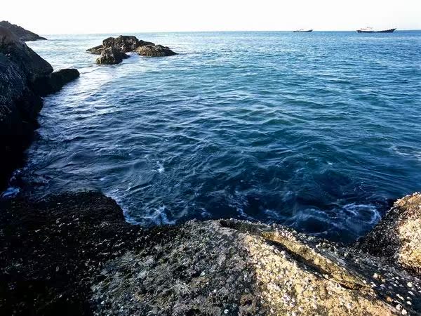 国庆中秋浙江舟山东海明珠--东极岛矶钓路亚海