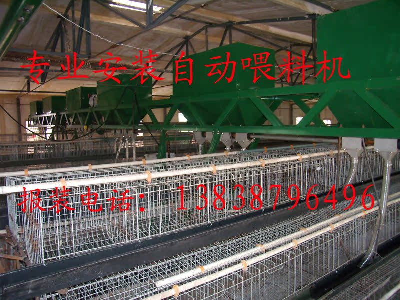 养鸡场喂料机,蛋鸡自动喂料机 南阳肉鸡自动喂料机 蛋鸡舍喂料机