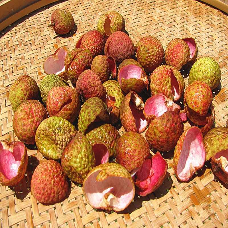 植物原药材-【干晒荔枝壳 荔枝皮】痢疾 湿疹 赤白痢-植物原药材尽在阿里巴巴-玉