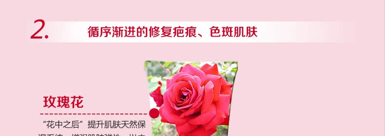 Xuelinfe BB 40ml Xuelinfe BB 40ml