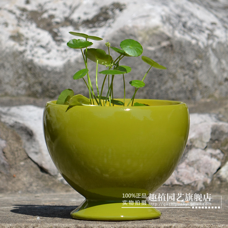 Цветочный горшок Interesting plant gardening P106 Цветочный горшок Interesting plant gardening P106