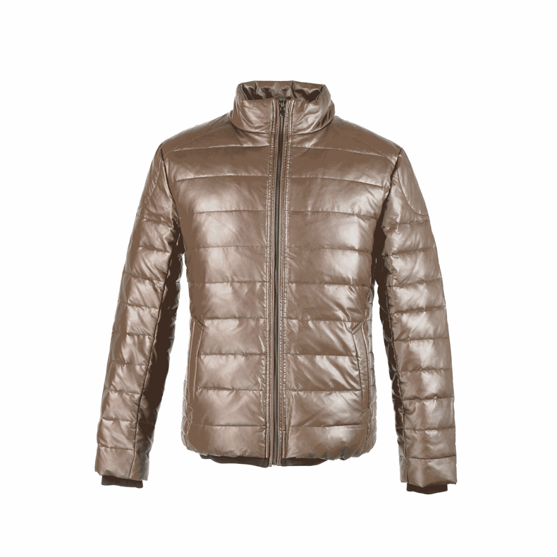 Пуховик мужской Tonlion 613411072439b 2014 PU Пуховик мужской Tonlion 613411072439b 2014 PU Tonlion / Tang lions
