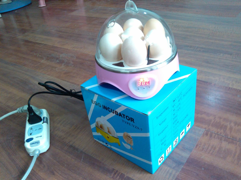全自动家用小型孵化机7枚孵化器孵蛋机孵蛋器鸡鸭鹅鸟蛋包邮