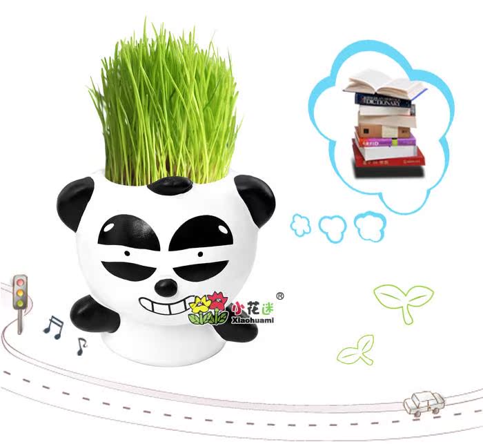 【54QQ熊猫桌面青草种植 可爱熊猫草娃娃 桌