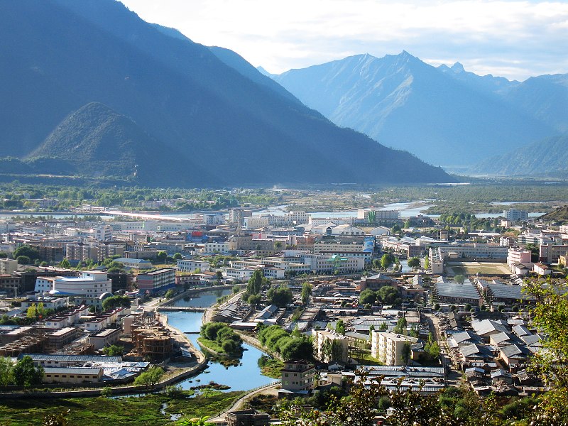 西藏林芝特产】松茸 虫草 藏红花 绿萝花 青冈菌