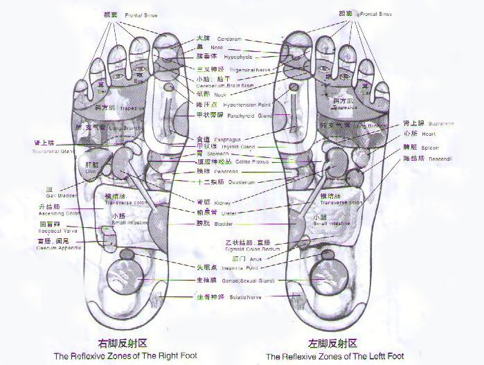 健康之路--长方形石子路二合一脚底按摩垫