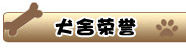 吉娃娃/可爱/纯种吉娃娃犬 赛级吉娃娃/终身保障/北京可上门！