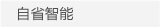 自省智能