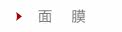面膜