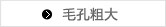 毛孔管理