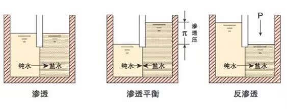 供应宏旺5吨反渗透纯净水设备宏旺 水净